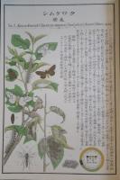 農作物害蟲圖解