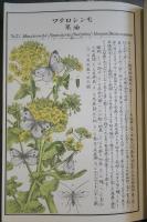 農作物害蟲圖解