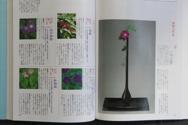 お茶人のための 茶花野草大図鑑 / 古本、中古本、古書籍の通販は「日本