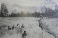 浅間山賽の河原の地蔵　絵はがき　昭和2年8月27日登山記念印