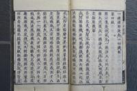 阿弥陀十疑論