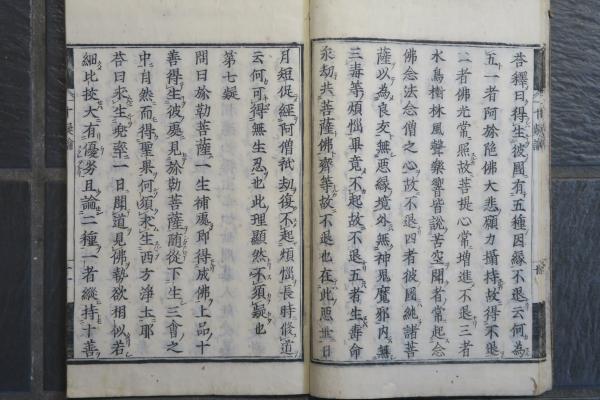 阿弥陀十疑論(智顗) / ほその書店 / 古本、中古本、古書籍の通販