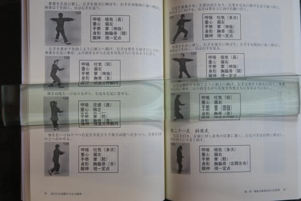 気の力を覚醒させる太極拳 劉雲樵伝 楊家太極拳壱百八式長拳 気の力を覚醒させる太極拳 劉雲樵伝 楊家太極拳壱百八式長拳(蘇