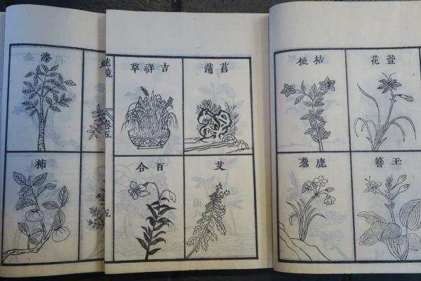 秘傳花鏡 全6巻(西湖陳 平賀先生) / 古本、中古本、古書籍の通販は