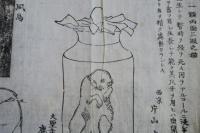 金沢博覧會　出品　珍品　珍獣　刷り物