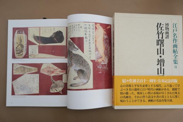 最新人気 / ほその書店 / 他) 安村敏信 憲示 上野 生慈 永田 全10巻揃(小林忠 江戸名作画帖全集 古本、中古本、古書籍の通販は「日本の古本屋」 日本の古本屋  / 文学・小説