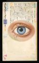 エピステーメー　9+10月号  1978.10  特集：眼球
　