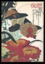 夜想　20号　特集：花鳥風月