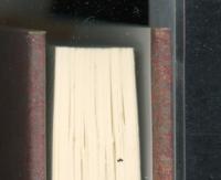 宗教・霊性・意識の未来