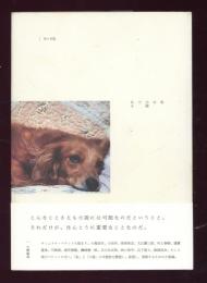 私は小説である