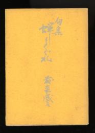 蝉しぐれ : 句集