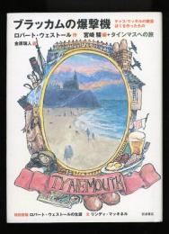 ブラッカムの爆撃機