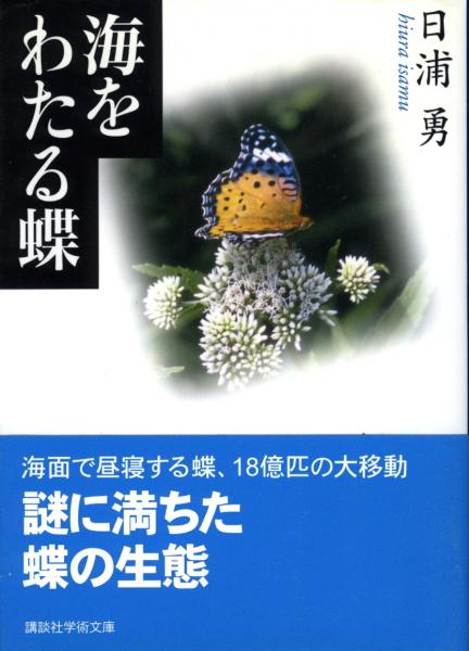 海をわたる蝶 日浦勇 著 書肆 秋櫻舎 古本 中古本 古書籍の通販は 日本の古本屋 日本の古本屋