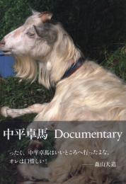 中平卓馬　Documentary