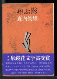 翔ぶ影