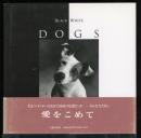 Black & white dogs