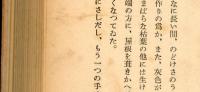 エヌ・エル・エフ　小説集