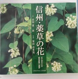 信州・薬草の花 : 花で見わける薬用植物と毒草