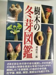 樹木の冬芽図鑑