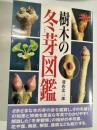 樹木の冬芽図鑑