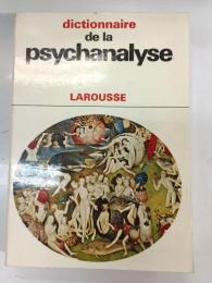 Dictionnaire abrégé, comparatif et critique des notions principales de la psychanalyse