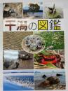 干潟の図鑑