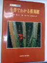 冬芽でわかる落葉樹 : カラー図鑑