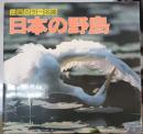 日本の野鳥