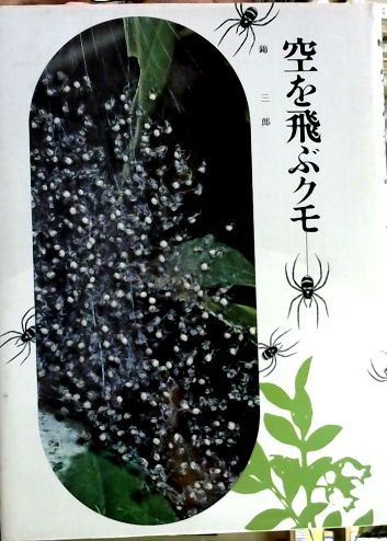 空を飛ぶクモ 錦三郎 著 市川禎男 等絵 古本屋ピープル 古本 中古本 古書籍の通販は 日本の古本屋 日本の古本屋 空を飛ぶクモ 錦三郎 著 市川禎男 等絵 古本屋ピープル 古本 中古本 古書籍の通販は 日本の古本屋 日本の古本屋
