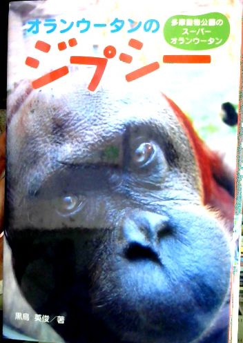 オランウータンのジプシー 多摩動物公園のスーパーオランウータン 黒鳥英俊 著 古本屋ピープル 古本 中古本 古書籍の通販は 日本の古本屋 日本の古本屋