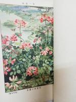 植物社会