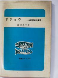 ドジョウ : 水田養殖の実際