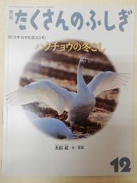 ハクチョウの冬ごし　月刊 たくさんのふしぎ 2010年 12月号