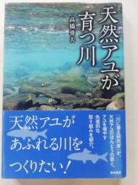 天然アユが育つ川