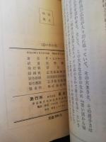 鏡の中の男