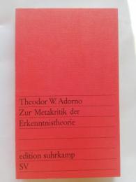 Zur Metakritik der Erkenntnistheorie : Studien uber Husserl und die phanomenologischen Antinomien 