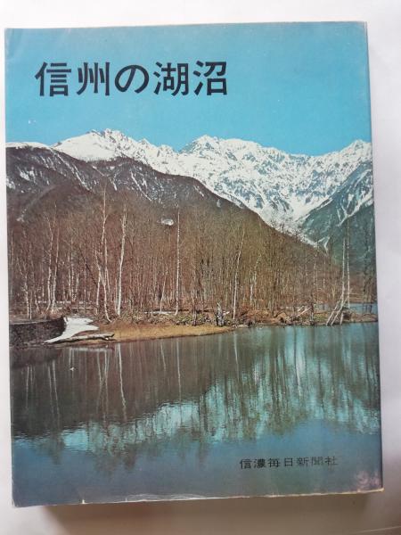 ハイデッガー全集 第40巻(ハイデッガー 著 ; 辻村公一 ほか編