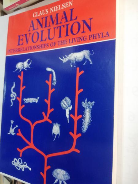 Animal evolution : interrelationships of the living phyla(Claus Nielsen) /  古本屋ピープル / 古本、中古本、古書籍の通販は「日本の古本屋」 / 日本の古本屋