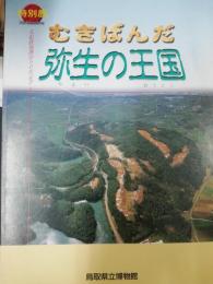 むきばんだ : 弥生の王国 : 特別展