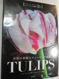 世界の華麗なチューリップ銘鑑tulips : ジェーン・イーストが贈るチューリップの歴史と最新花