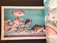 こどもクラブ