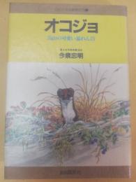 オコジョ : 高山の可愛い暴れん坊