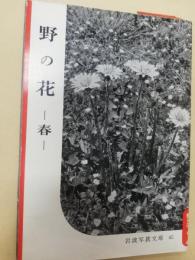 野の花 : 春