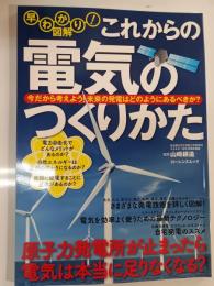 これからの電気のつくりかた : 早わかり!図解 : 今だから考えよう!未来の発電はどのようにあるべきか?