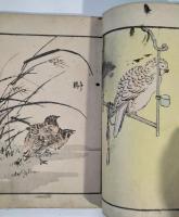 初心毛筆画譜