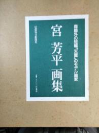 宮芳平画集 : 森鴎外の短編「天龍」のモデル画家