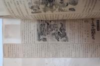 モミの木の仲間たち　新聞連載切抜