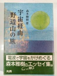 宇宙経由野辺山の旅