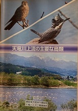 天竜川上流の主要な鳥類