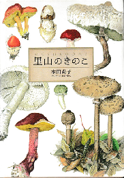 里山のきのこ = MUSHROOMS
